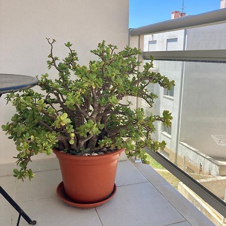 Cavalo-Marinho Nazare Apartment Exterior photo